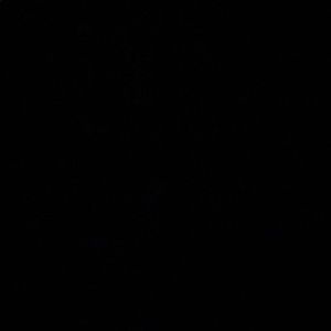 Meet your Posher, Derek